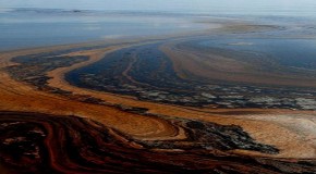 BP Spill Resurfaces on Louisiana Beaches as Gulf Depopulation Agenda Looms in the Distance