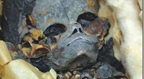 Extraterrestrial Mummy Found In Egypt