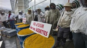 France to Maintain Ban on GMO Crops
