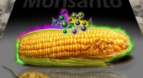 Homeland Security is Working for Monsanto