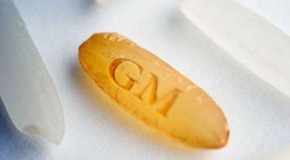 How China and US ‘secretly tested genetically modified golden rice on children’