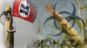 Is The End of Monsanto Near? Prop 37 Succeeding as Nations Ban GMO Crops