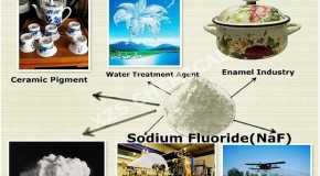 PROOF: Chinese industrial fluoride suppliers openly list sodium fluoride as ‘insecticide’ and ‘adhesive preservative’ in addition to water treatment chemical
