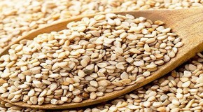 Sesame!10 Amazing Health Benefits Of This Super-Seed