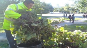 City of Toronto Workers Destroy Free Community Food Garden Amid Growing Food Crisis