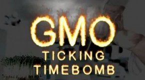 Video: GMO Ticking Time Bomb