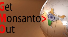 India is Ready To Kick Monsanto Out