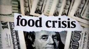 The Next Food Crisis Will Be Caused By Globalist Land-Grabs and Privatization