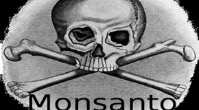The Video Monsanto Does Not Want You To See