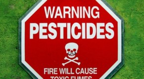 7 Ways to Detox Pesticides from Your Body