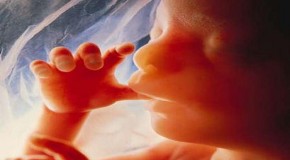 CDC: Abortions fall 5%, largest drop in a decade