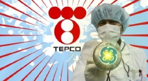 Former Fukushima Worker Sues TEPCO for Downplaying Radiation Dangers