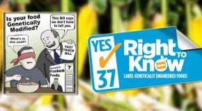 Is the fix in for California’s Prop 37?