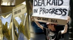 Law Enforcement and Politicians Beg DOJ and DEA to Respect State Marijuana Legalization Votes