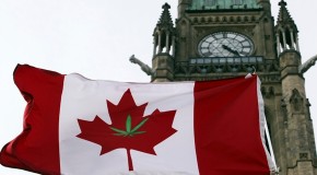Marijuana legalization or decriminalization backed by most Canadians: poll