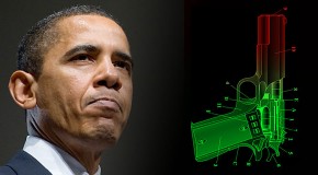 Noted Gun Rights Activist Warns Obama May Skirt Congress and Outlaw Semiautos