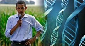 Obama & Congress Will Continue Genetic & Biotech Relationship For Financial Gains