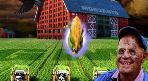 Taking Over for Monsanto, DuPont Hunts Down Farmers for Violating the “Intellectual Property” of GMO Seeds