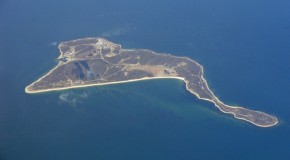 Truth About ‘Plum Island’