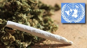 United Nations threatens Colorado, Washington state over marijuana decriminalization laws