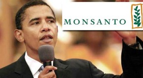Video: Will Obama Fulfill His 2007 Promise to Label GMOs?