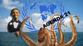 Agenda 21 Is Being Rammed Down The Throats Of Local Communities All Over America