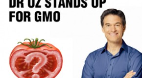 Dr Oz Defends Monsanto: Eat GMO Foods, They’re the Same as Non-GMO Organic