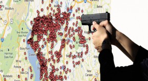 Mainstream media actively trying to get gun owners murdered by listing their home addresses