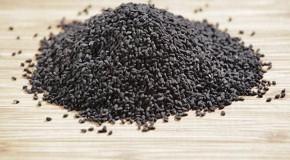 Black cumin: The secret miracle heal-all remedy