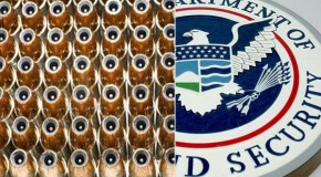 Did DHS Just Award an Ammunition Contract to a Shell Corporation?