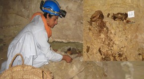 Eight million dog mummies found in Saqqara