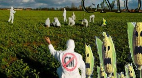 Genetic Engineering and the GMO Industry: Corporate Hijacking of Food and Agriculture