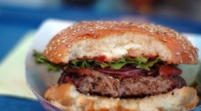 Horse DNA found in beefburgers from four major supermarkets