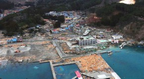 Is Fukushima A Factor In Japan’s Record Deaths In 2011-12?