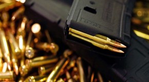 Law Would Force Gun Owners to “Surrender” Magazines to Police