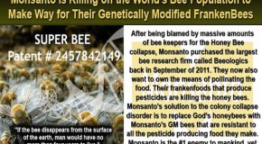 Monsanto Genetically Engineering Bees