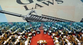 New York Senate Passes Strict Gun Ban