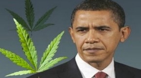 Obama Throwing Medical Marijuana Patients Into Federal Prison at Alarming Rate