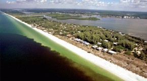 The Truth About Red Tide’s Manmade Causes and Health Effects