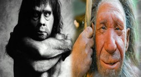 Wanted: ‘Adventurous woman’ to give birth to Neanderthal man – Harvard professor seeks mother for cloned cave baby