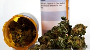 California Scientists Say Marijuana Compound Cures Cancer