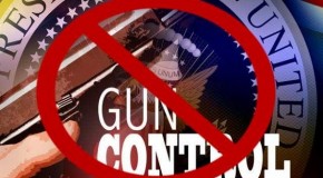 Gun Makers Boycott Governments Hostile To Second Amendment
