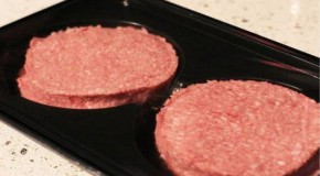 Horsemeat sent to schools, colleges, hospitals, pubs and hotels admit caterers