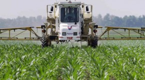 Monsanto drags over 400 U.S. farmers to court over GM seed patents: When will Big Ag’s corrupt reign end?