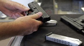 ‘There’s no logic to it’ – experts slam new gun control bill