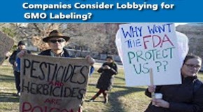 Wal-Mart, Pepsi and 20 Major Food Companies Consider Lobbying for GMO Labeling?