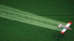4 New Reasons to Avoid Pesticides