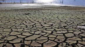 Green fatigue sets in: the world cools on global warming