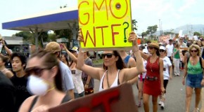 Hundreds march against GMOs in Hawaii