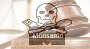Monsanto Protection Act Proves Corporations More Powerful Than US Government
